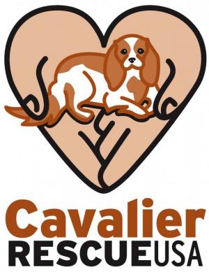 Cavalier Rescue USA