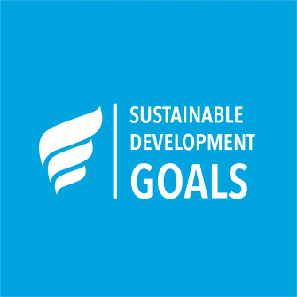 UN SDGs