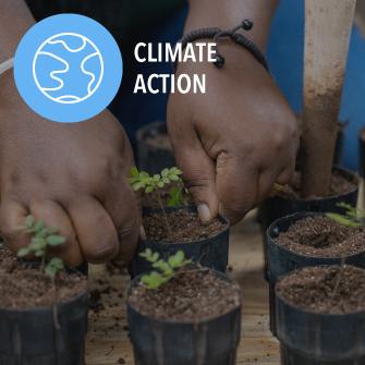 people planting trees