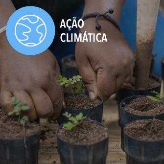 people planting trees