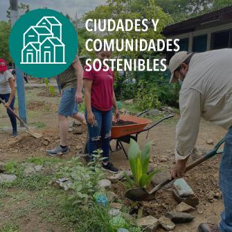 people planting trees