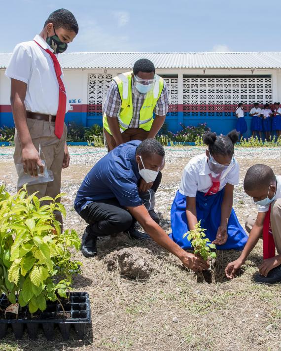 Jamaica tree planting