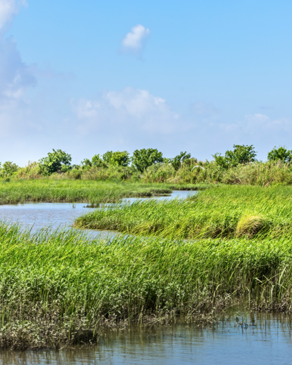 Louisiana