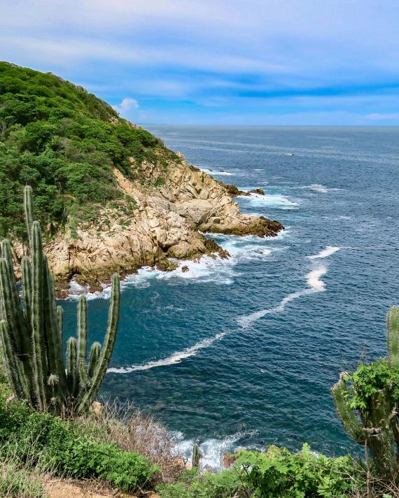 Pacific Coast Shoreline 