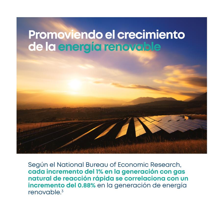 LNG-Renewables_SpanishMEX